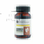 CAPSULAS ECHINACEA