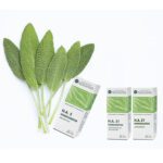 H.A.45 HOMEOMETEORISMO