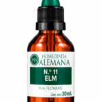 Nº11 ELM