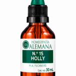 Nº15 HOLLY
