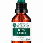 Nº19 LARCH