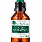 Nº28 SCLERANTHUS