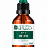 Nº3 BEECH