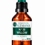 Nº38 WILLOW