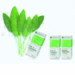 H.A. 96 HOMEODISPEPSIA